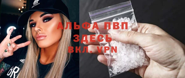 прущие грибы Зерноград