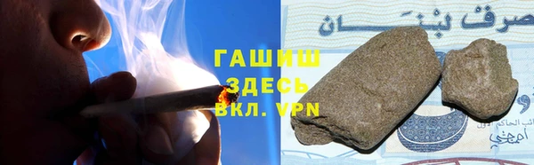 прущие грибы Зерноград