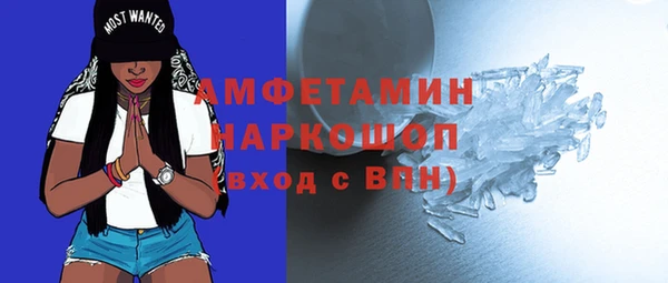 сатива Зеленокумск
