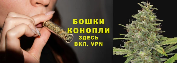 сатива Зеленокумск