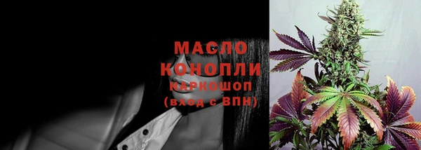 сатива Зеленокумск