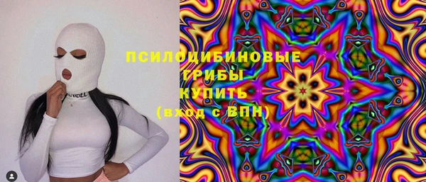 прущие грибы Зерноград