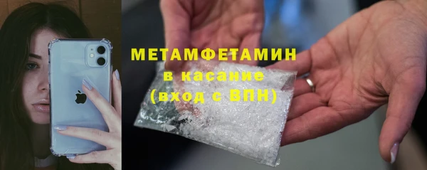 прущие грибы Зерноград