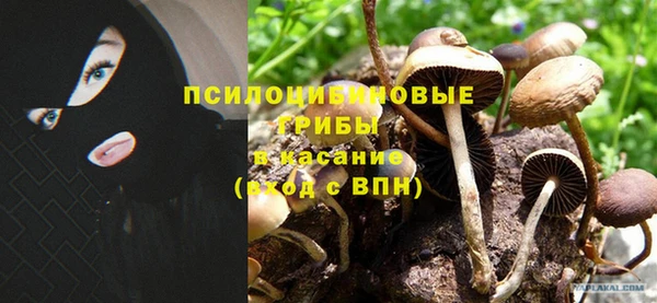 альфа пвп Зеленодольск