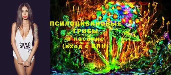 прущие грибы Зерноград