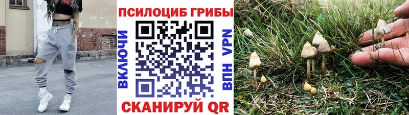 гидра ссылка  Пыть-Ях  маркетплейс какой сайт  Галлюциногенные грибы мицелий 