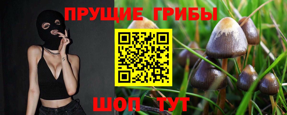 Пыть-Ях  Псилоцибиновые грибы ЛСД  Псилоцибиновые грибы Cubensis  Вход с VPN 