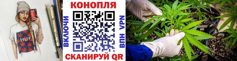Шишки марихуана семена  где можно купить   hydra зеркало  Пыть-Ях 